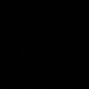 Meet your Posher, Lily